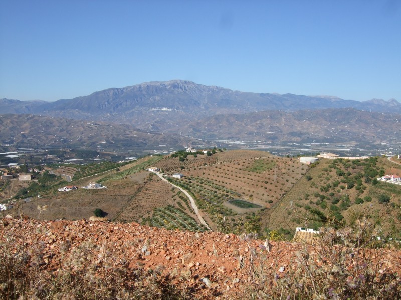 Anadalusien 2009 - 0614 